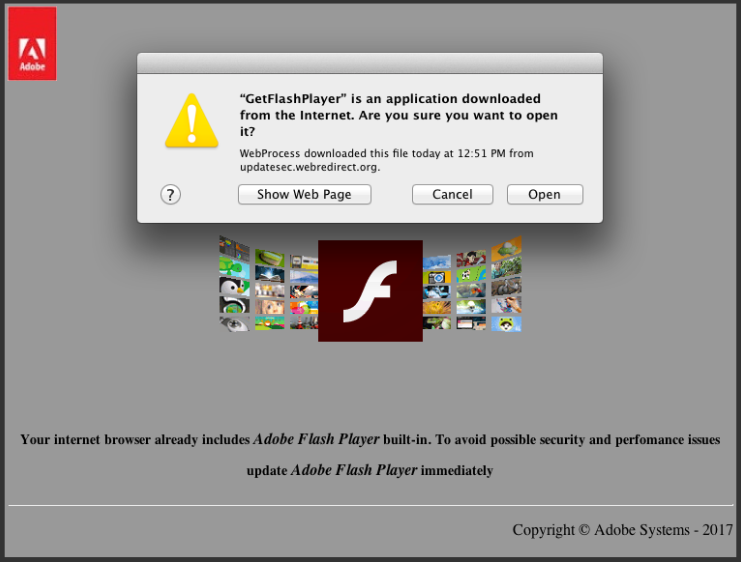 GetFlashPlayer Execution